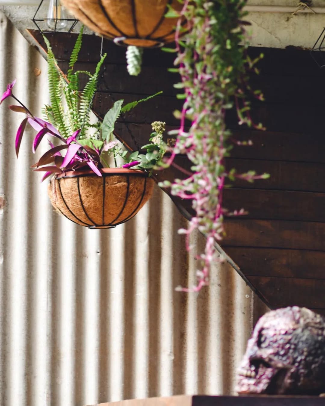 SnapInsta.to_344159320_786722359677995_5498842031121954005_n