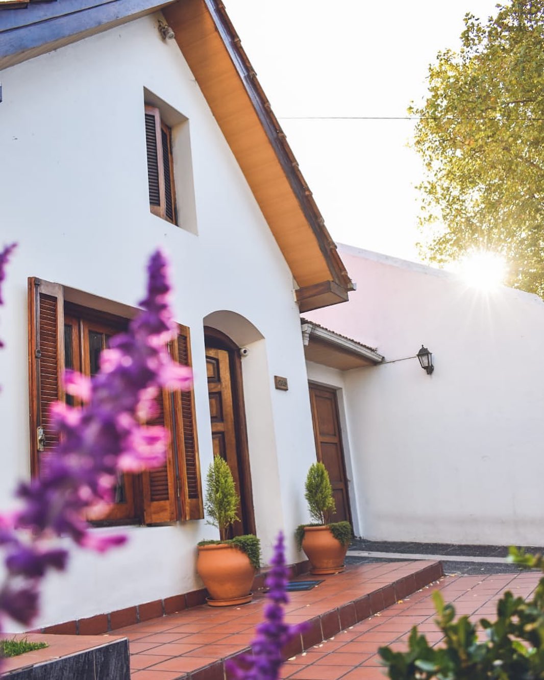 SnapInsta.to_344249889_910167806940105_1897758377017816133_n